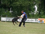 Ebony v h Wantij NBG Verenigingskampioenschap 2016 c l